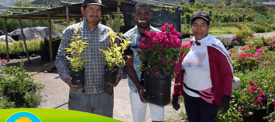 ENTREGA DE VIVEROS A LA COMUNIDAD LA PLAYA DE AMBUQUI.
