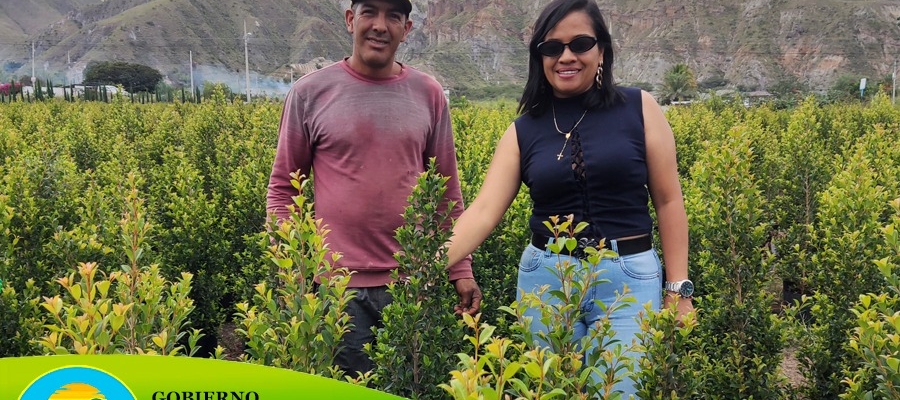 MEJORAMIENTO DE ESPACIOS VERDES.